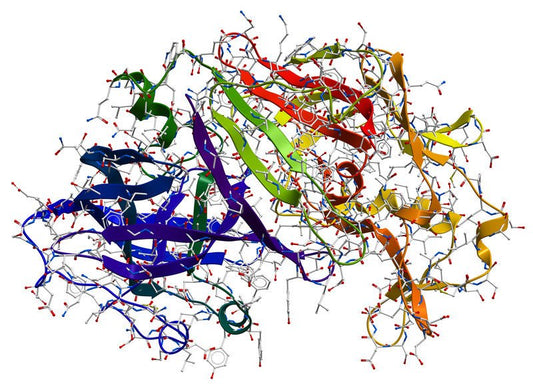 What is Pepsin? - Peptest Australia and New Zealand